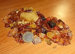 Bernsteinmuseum Sellin